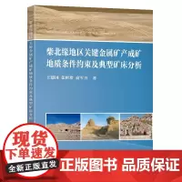 柴北缘地区关键金属矿产成矿地质条件约束及典型矿床分析