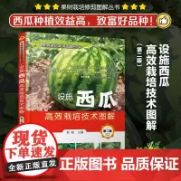 果树栽培修剪图解丛书--设施西瓜栽培技术图解(第二版)