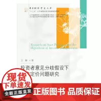 投资者意见分歧假设下资产定价问题研究