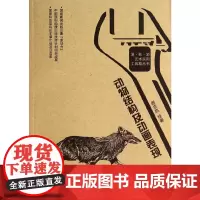 动物结构及动画表现