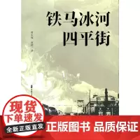 铁马冰河四平街