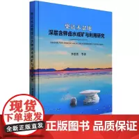 柴达木盆地深层含钾卤水成矿与利用研究 李洪普 等 著 地球物理学专业科技 正版图书籍 中国地质大学出版社