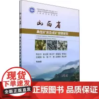 山西省典型矿床及成矿规律研究 陈志方 等 编 地球物理学专业科技 正版图书籍 中国地质大学出版社