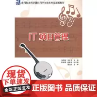 IT 项目管理