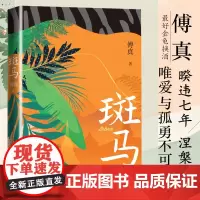 斑马傅真著藏地白皮书作者傅真睽违七年回归之作金龟换酒旅行游记婚姻家庭生育治愈人民文学正版