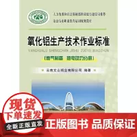氧化铝生产技术作业标准(燃气制备 热电动力分册)