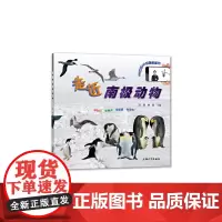 走进南极动物