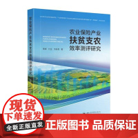 农业保险产业扶贫支农效率测评研究