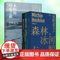 星野道夫摄影集散文作品4册套装 永恒的时光之旅+旅行之木+森林冰河与鲸+魔法的语言 自然旅行随笔生态外国文学哲学书