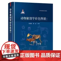动物解剖学彩色图谱 第2版 陈耀星 曹静主编 兽医家畜解剖学彩色图谱9787109287013
