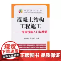 混凝土结构工程施工:专业技能入门与精通