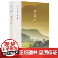 叶广芩文集 老县城