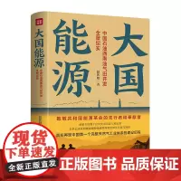 大国能源:中国石油西南油气田开发全景纪实(一部西南油气开发史!一部中国能源崛起史!)