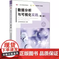 数据分析与可视化实践(第二版)