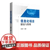 信息化项目建设与管理