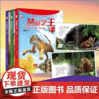 动物传奇之丛林系列(3-12岁丛林动物科普全书 套装三册)