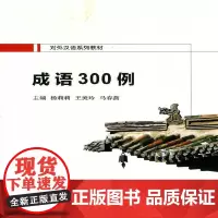 成语300例(对外汉语系列教材)