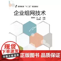 企业组网技术(温建京)