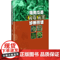 海南瓜菜病毒病害诊断图谱 车海彦 编 农业基础科学专业科技 正版图书籍 中国农业科学技术出版社