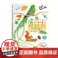 我的小小大自然图表