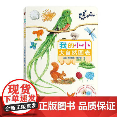 我的小小大自然图表