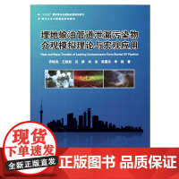 埋地输油管道泄漏污染物介观模拟理论与宏观应用
