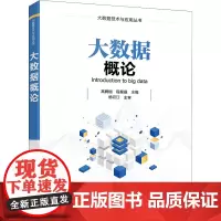 大数据概论 高腾刚,程星晶 编 数据库大中专 正版图书籍 清华大学出版社