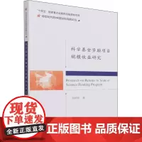 科学基金资助项目规模收益研究 段培新 著 金融投资经管、励志 正版图书籍 经济科学出版社
