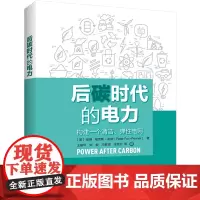 后碳时代的电力 [美]彼得.福克斯-彭纳(Peter Fox-Penner ),王耀华,刘俊,等 著 电工技术/家电维修