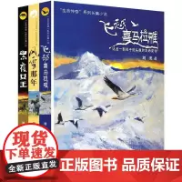 生命传奇系列小说套装