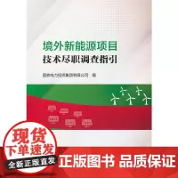 境外新能源项目技术尽职调查指引