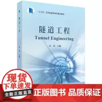 隧道工程/高玮/科学出版社