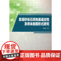 胶凝砂砾石坝地基适应性及坝体剖面形式研究