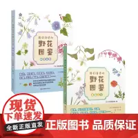 我们身边的野花图鉴 共2册