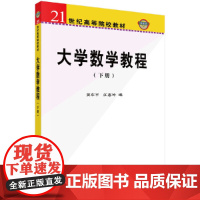 大学数学教程(下册)