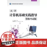 大学计算机基础实践指导(等级考试版)(高等职业教育通识类课程教材)