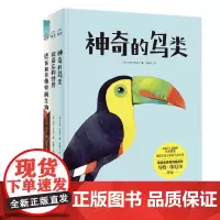 我的博物艺术书(套装全3册)