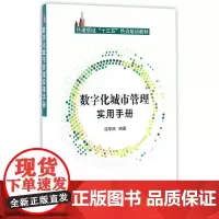 数字化城市管理实用手册