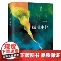 绿毛水怪 王小波的书处女作著有黄金时代三部曲全集中国现当代文学小说随笔散杂文卷夜行记红拂夜奔图书籍排行榜