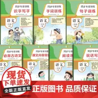 同步专项训练·语文二年级下册(套装)
