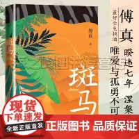 斑马 傅真2022年全新力作 两座城市一段重逢 三千二百公里的治愈之旅 与湄南河畔丛林中的斑马相遇 前往人生旅途的下一个