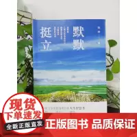默默挺立 张炜 著 现代/当代文学文学 正版图书籍 花城出版社