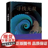 寻找无双 王小波著现代当代文学小说精装纪念版怀疑三部曲之智慧之书卡夫卡式幽默荒诞故事文学正版书籍