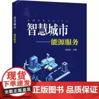 智慧城市——能源服务 朱维政 编 社会学专业科技 正版图书籍 中国电力出版社