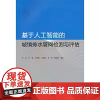 基于人工智能的城镇排水管网检测与评估