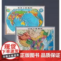 [2张]中国+世界立体图套装(四开)立体地形图 新版中小学生专用儿童地图覆膜家用防水客厅装饰背景墙全国地形图 测绘出版