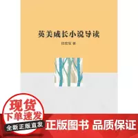 英美成长小说导读