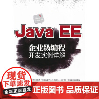 Java EE企业级编程开发实例详解