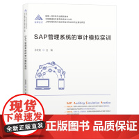 SAP管理系统的审计模拟实训