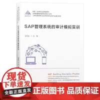 SAP管理系统的审计模拟实训